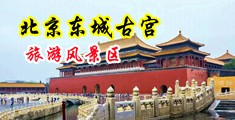 大骚屄好痒视频中国北京-东城古宫旅游风景区